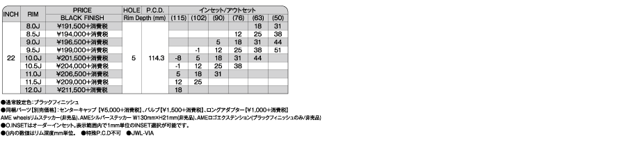 BRAZZER - モデラート, スポーク, 22インチ, 20インチ, 2/3PCS, 19インチ